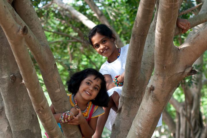 two little girls playing on trees