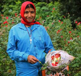 volunteering - flower plucking