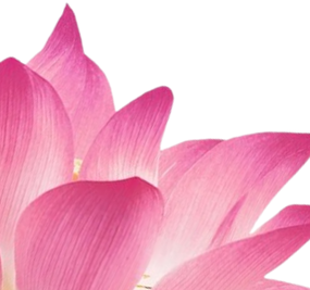Life is enthusiasm, life is joy, life is love - Gurudev (1)