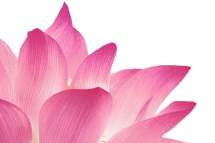Life is enthusiasm, life is joy, life is love - Gurudev (1)