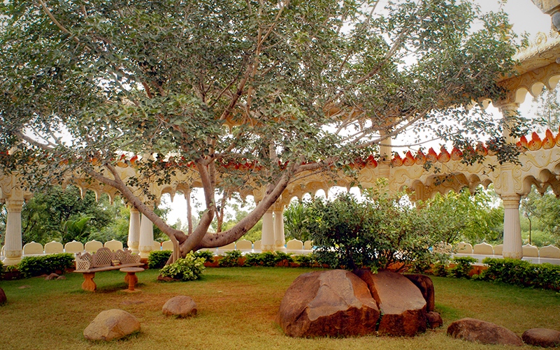 The Art of Living International Center in Bangalore - Ashram tour