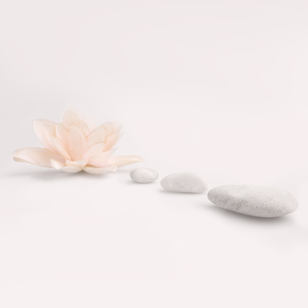 art of living online